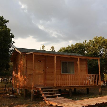 Jambo Mara Safari Lodge Ololaimutiek الغرفة الصورة