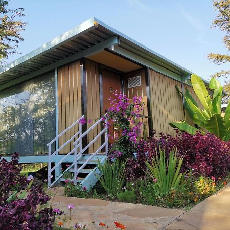 Jambo Mara Safari Lodge Ololaimutiek المظهر الخارجي الصورة