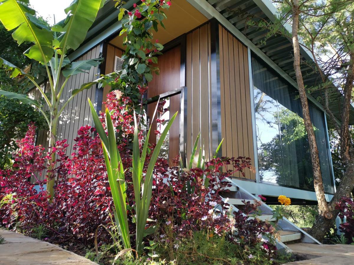 Jambo Mara Safari Lodge Ololaimutiek المظهر الخارجي الصورة