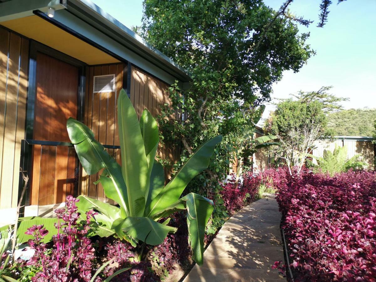 Jambo Mara Safari Lodge Ololaimutiek المظهر الخارجي الصورة