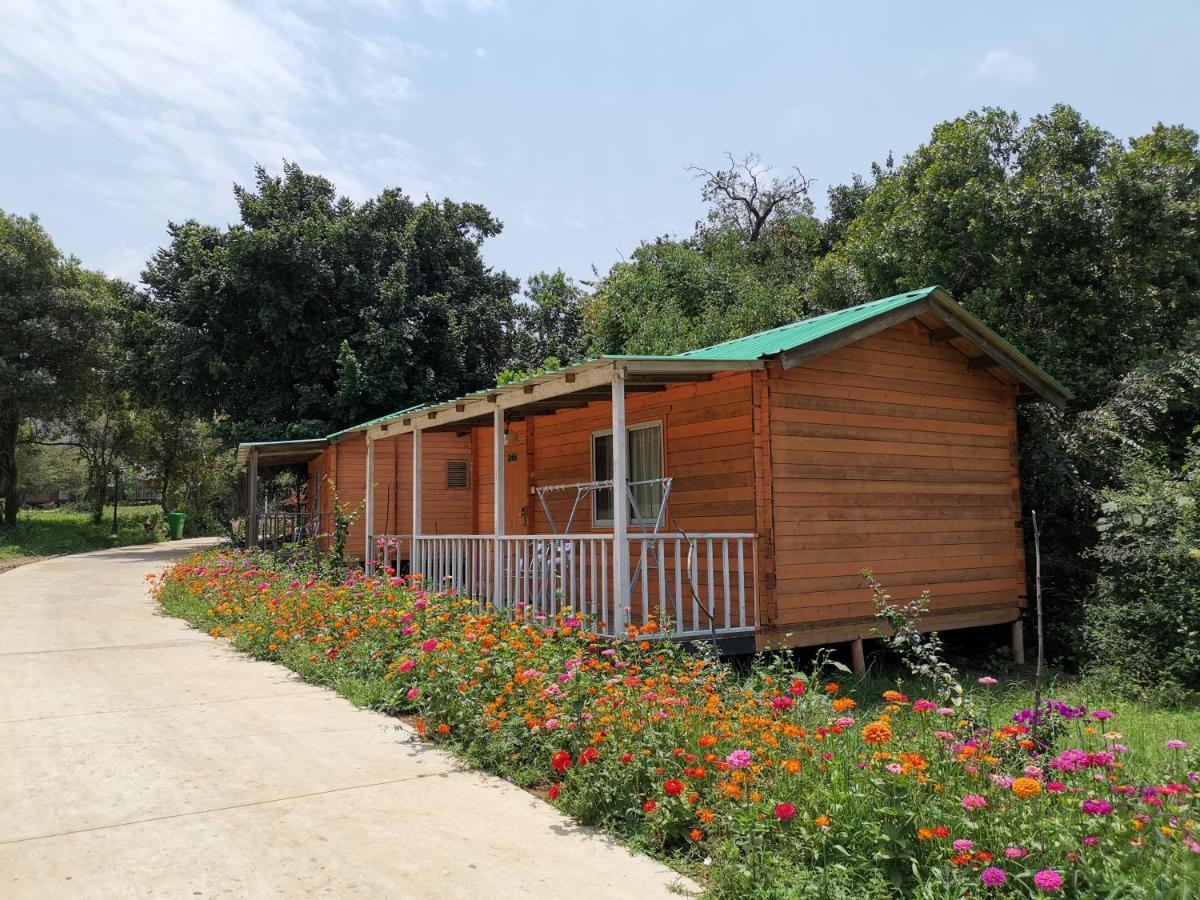 Jambo Mara Safari Lodge Ololaimutiek المظهر الخارجي الصورة